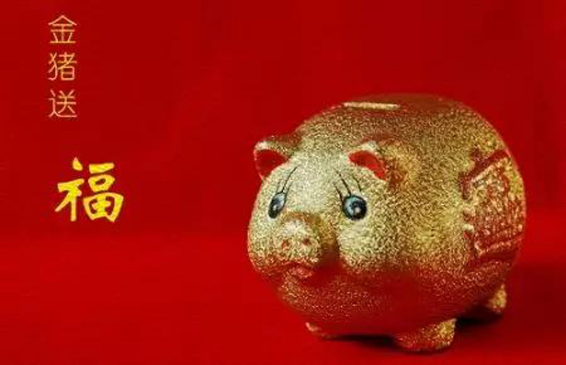 综合布线：构建企业信息高速公路